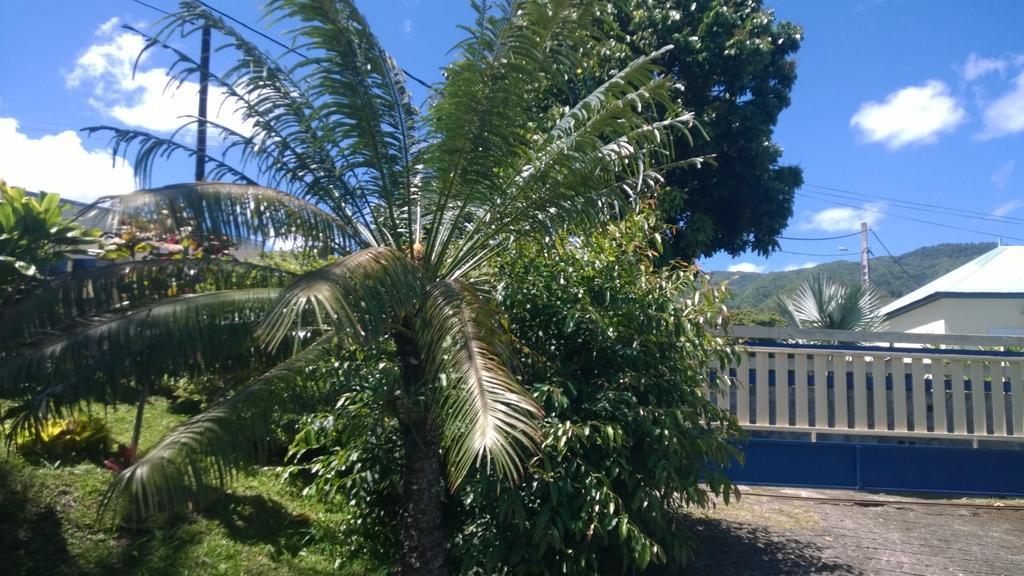 Les Bungalows Du Mont-Auban Sainte-Clotilde Exteriér fotografie