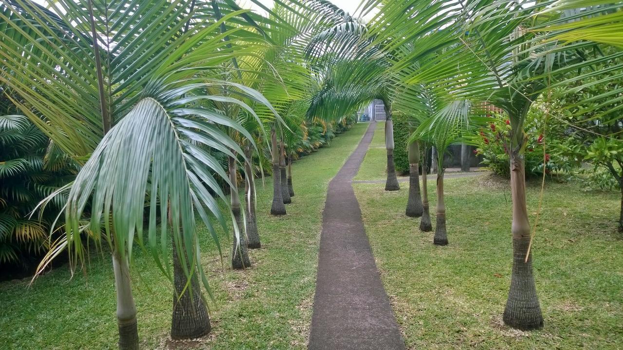 Les Bungalows Du Mont-Auban Sainte-Clotilde Exteriér fotografie